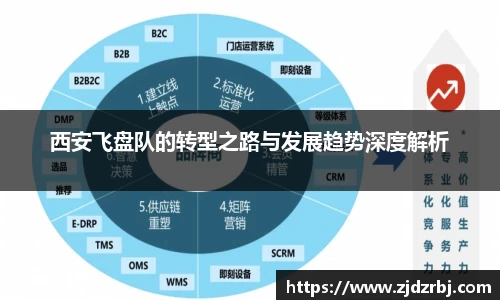 西安飞盘队的转型之路与发展趋势深度解析